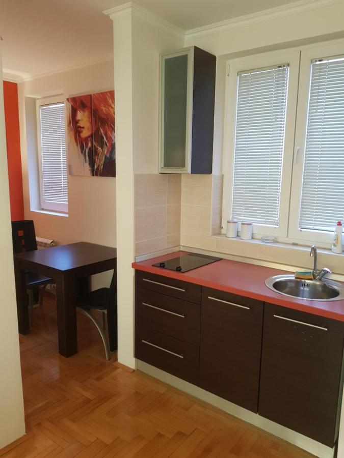 Rajiceva 5- Apartman Sa Prostranom Terasom I Garaznim Mestom Kragujevac Exterior photo